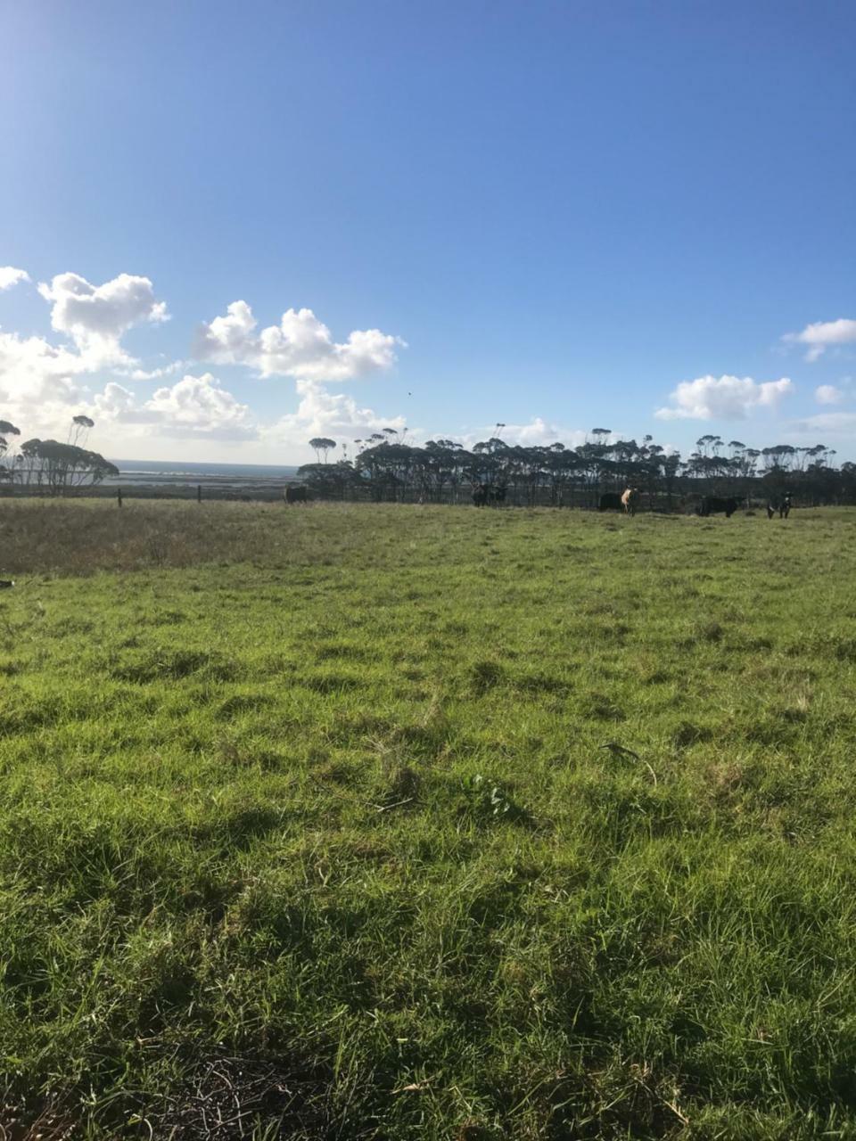 Karikari Lodge Tokerau Beach Buitenkant foto